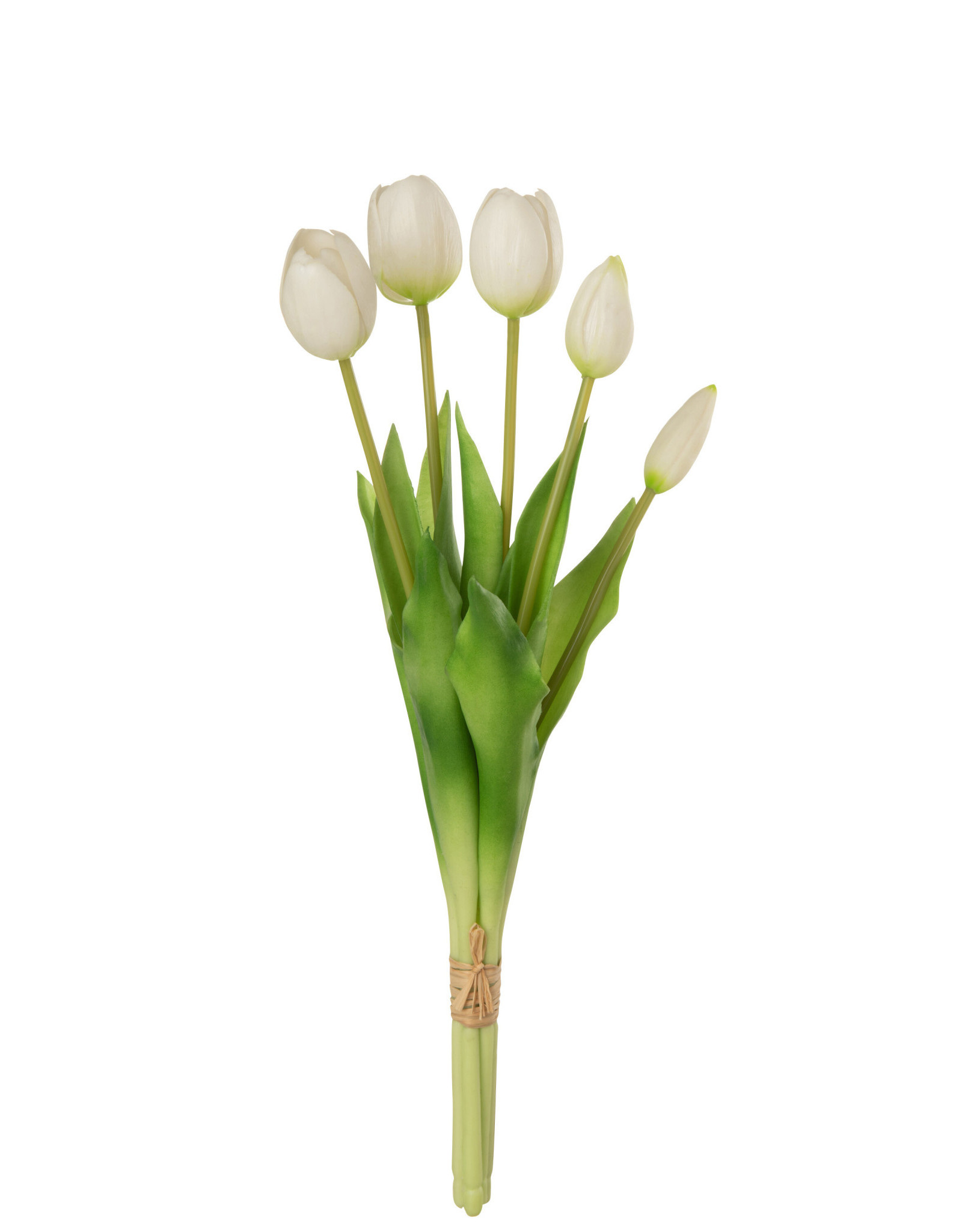 boeket tulpen 5 stuks 40 cm wit