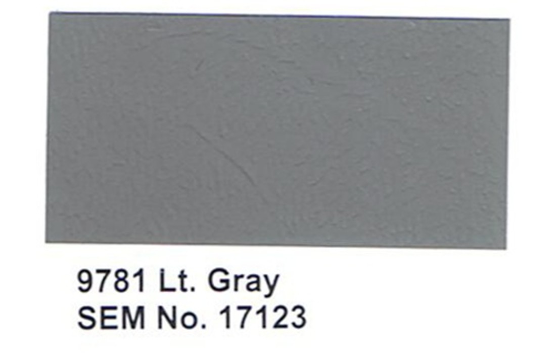 9781 teniente Gris