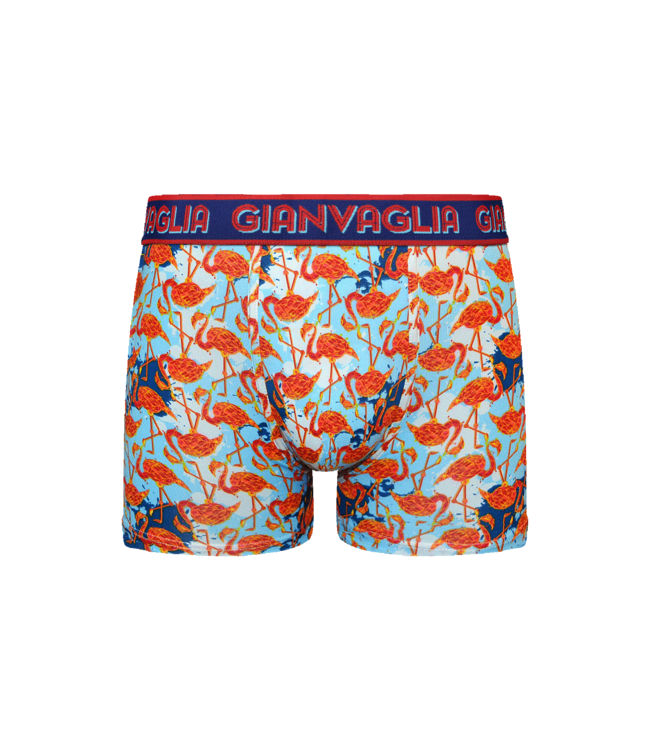 Gianvaglia Deluxe 5-Pack Katoenen Heren Boxershorts