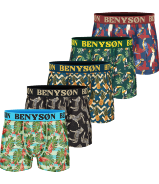 BENYSØN 5-Pack Heren Viscose Boxershorts met Print