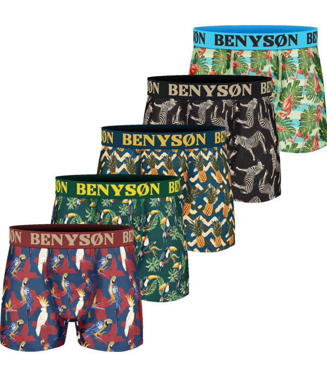 BENYSØN 5-Pack Heren Viscose Boxershorts met Print
