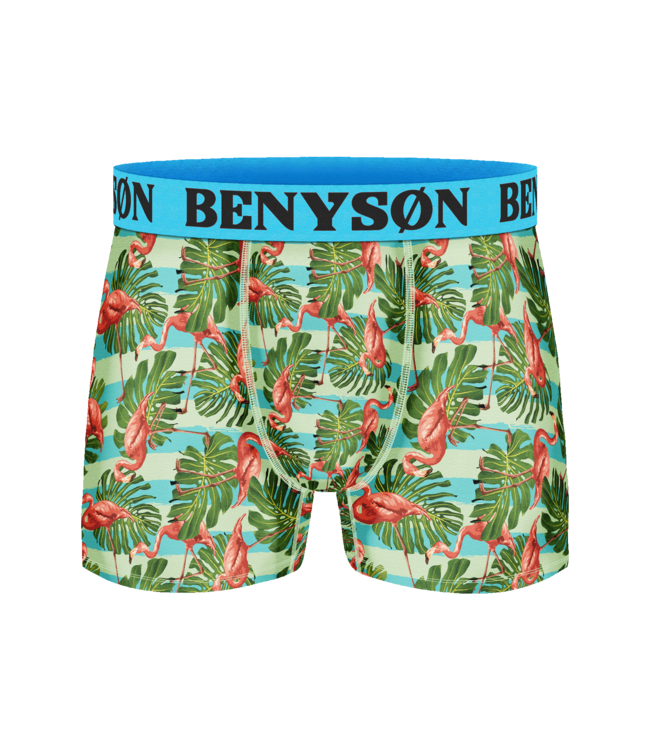 BENYSØN BENYSØN 5-Pack Heren Viscose Boxershorts met Print