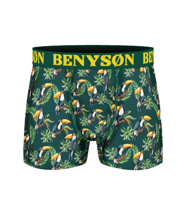BENYSØN BENYSØN 5-Pack Heren Viscose Boxershorts met Print