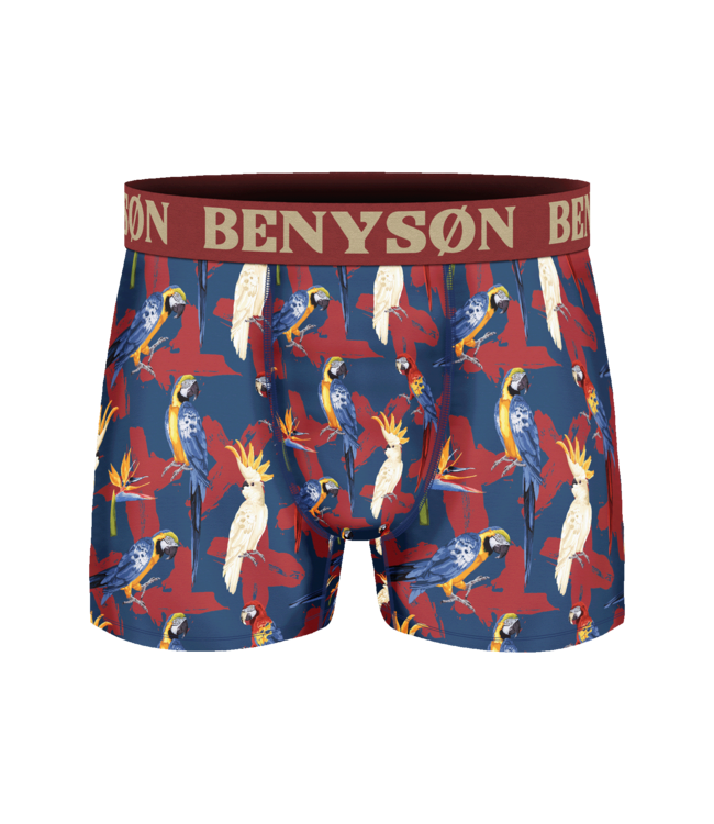 BENYSØN 5-Pack Heren Viscose Boxershorts met Print