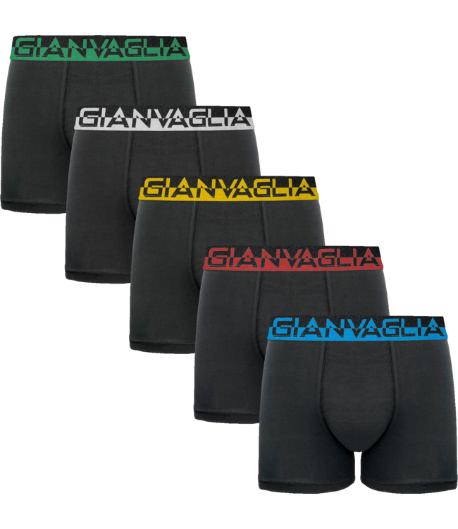 Gianvaglia Deluxe 5-Pack Katoenen Heren Boxershorts