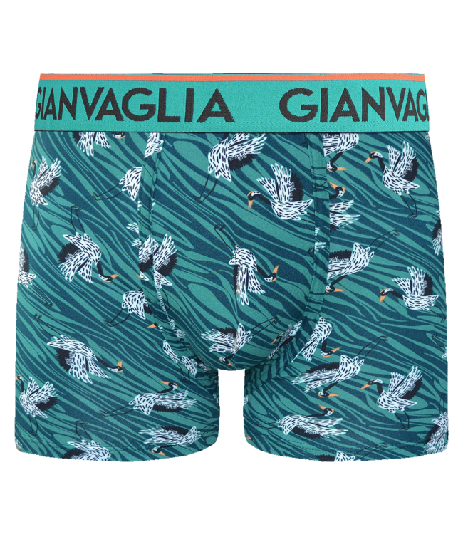 Gianvaglia Deluxe 5-Pack Fruit Edition Katoenen Heren Boxershorts