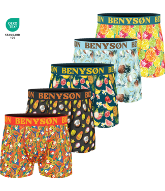 BENYSØN BENYSØN 5-Pack Fruit Punch Edition Viscose Boxershorts