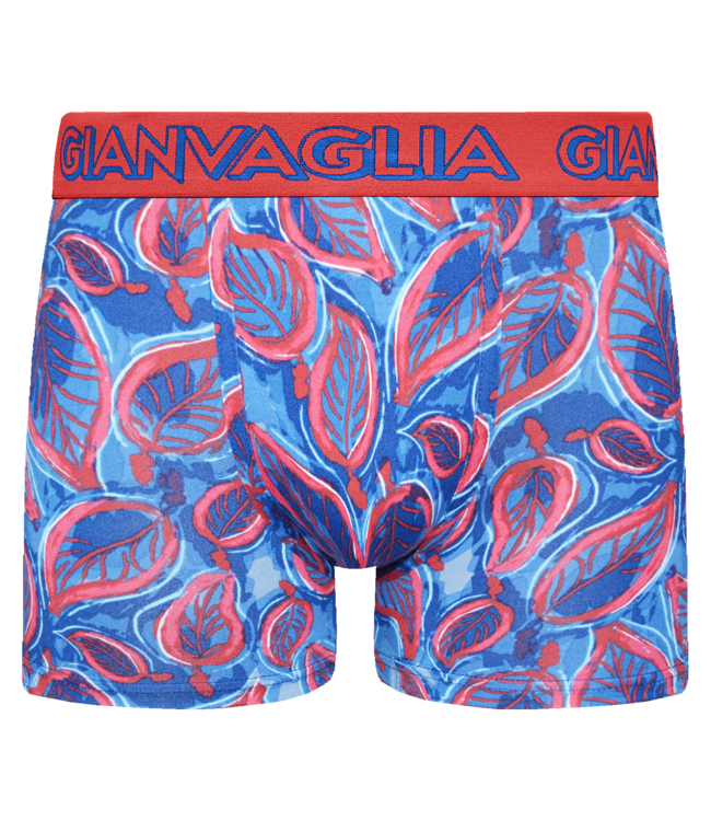 Gianvaglia Deluxe 5-Pack Mixed Edition Katoenen Heren Boxershorts