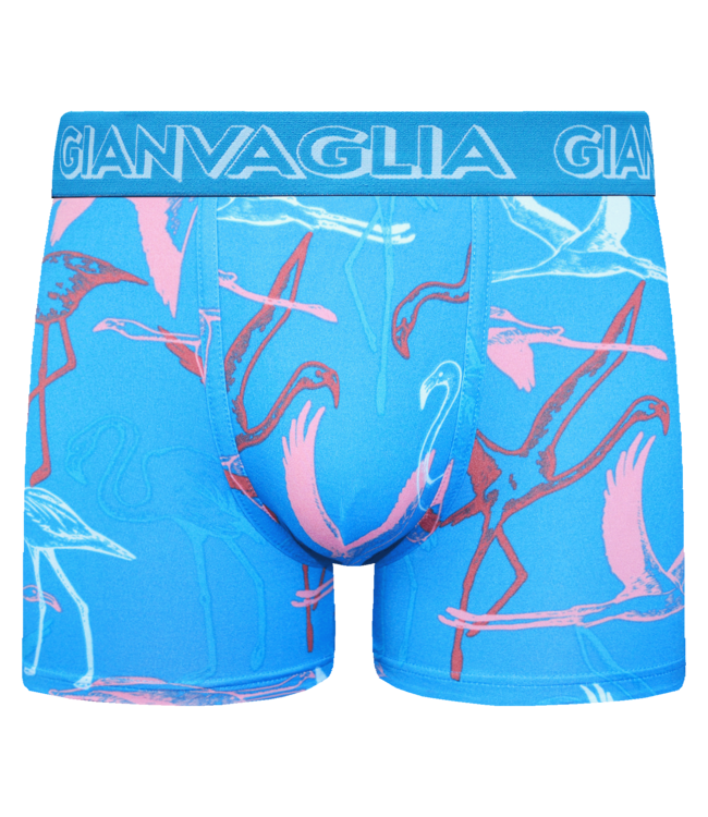 Gianvaglia Deluxe 5-Pack Mixed Edition Katoenen Heren Boxershorts