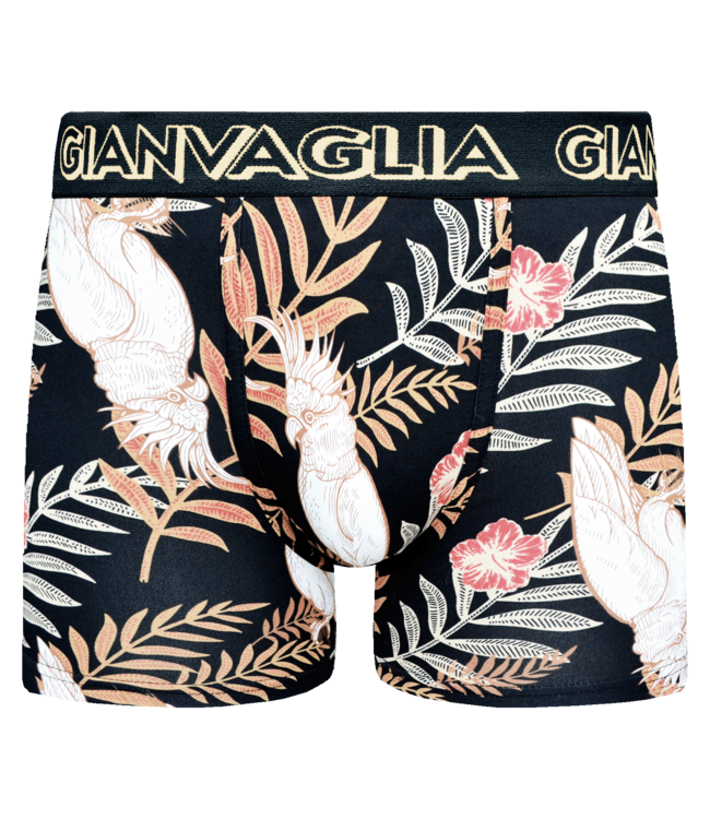 Gianvaglia Deluxe 5-Pack Discovery Edition Katoenen Heren Boxershorts