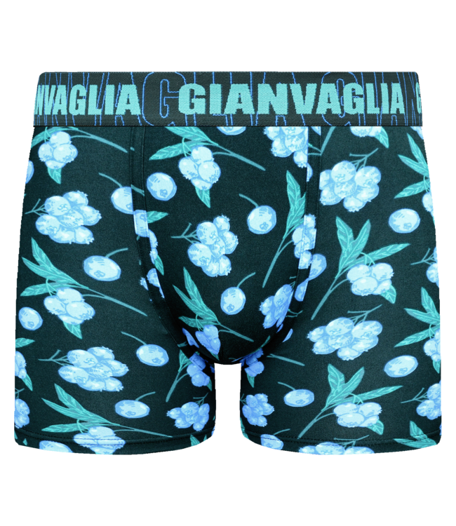 Gianvaglia Deluxe 5-Pack Fruitmix Edition Katoenen Heren Boxershorts