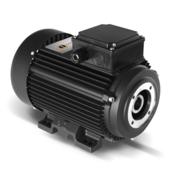 Elektromotoren met binnenas