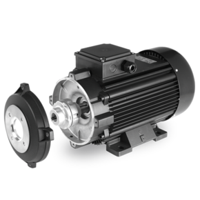 Elektromotoren met ingebouwde elastische koppeling Elektromotoren met ingebouwde elastische koppeling