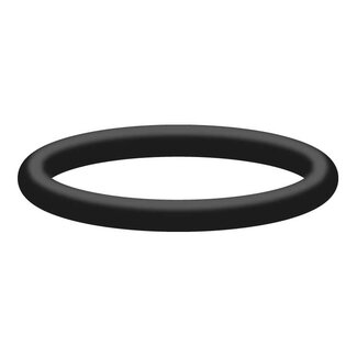 Interpump O-ring, 20.24x2.62