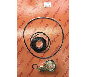 Hawk Crankcase seals kit