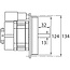 Brandermotor, 110 W
