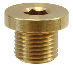Plug 3/4" met rand, messing