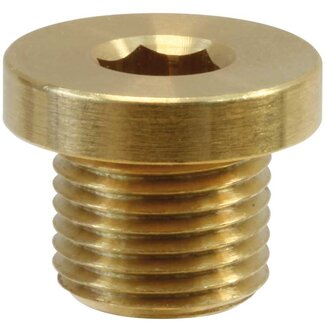 Plug 3/4" met rand, messing