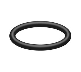 O-ring