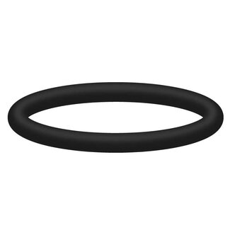 O-ring 19,3x2,4, per stuk