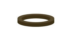 Schutzring Schutzring