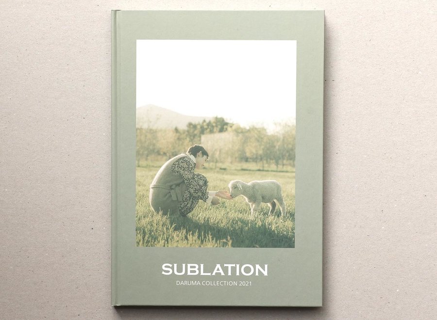 Sublation
