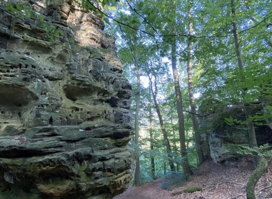 Knit in nature 3 - Guttland