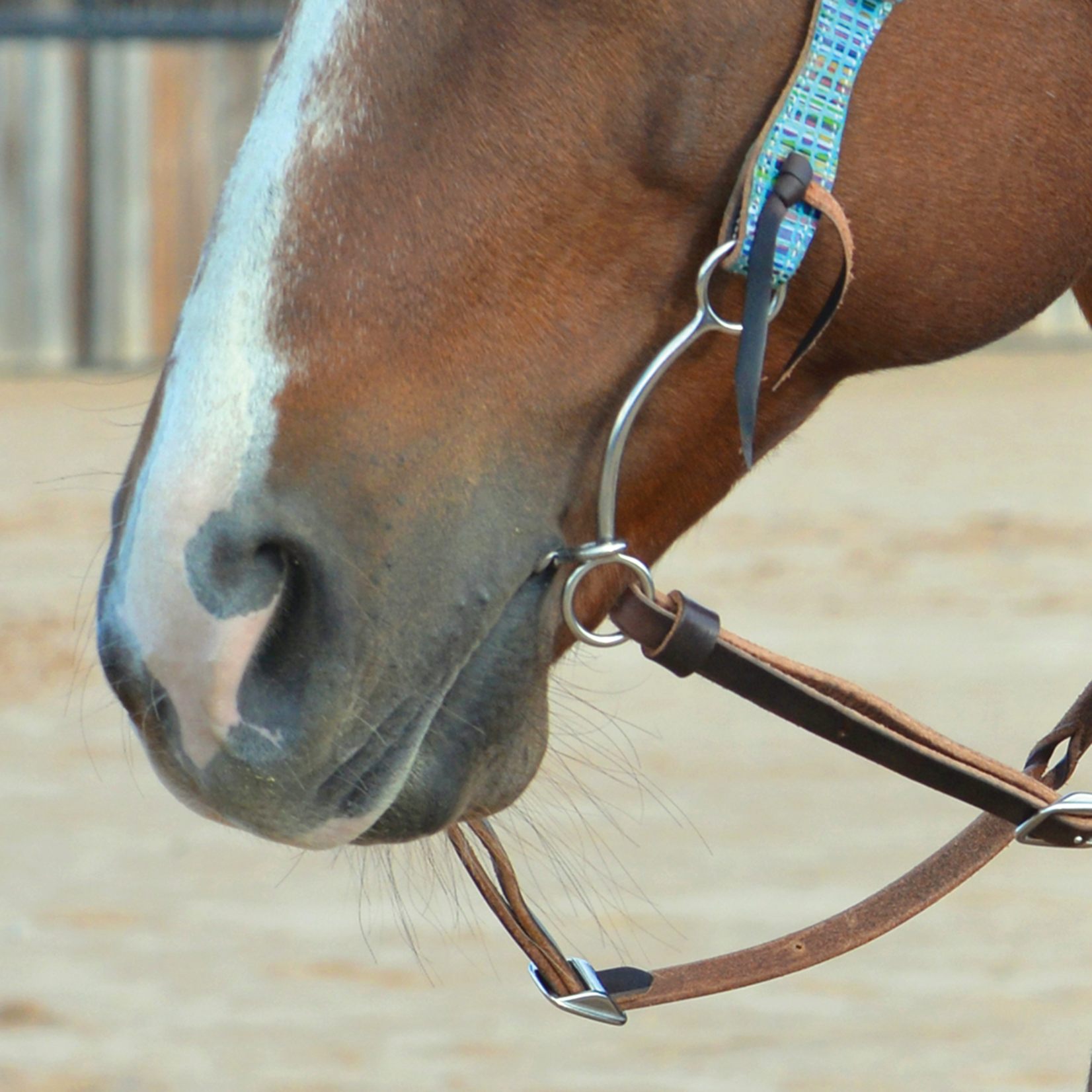 Classic Equine Simplicity Bit TWISTED WIRE SNAFFLE