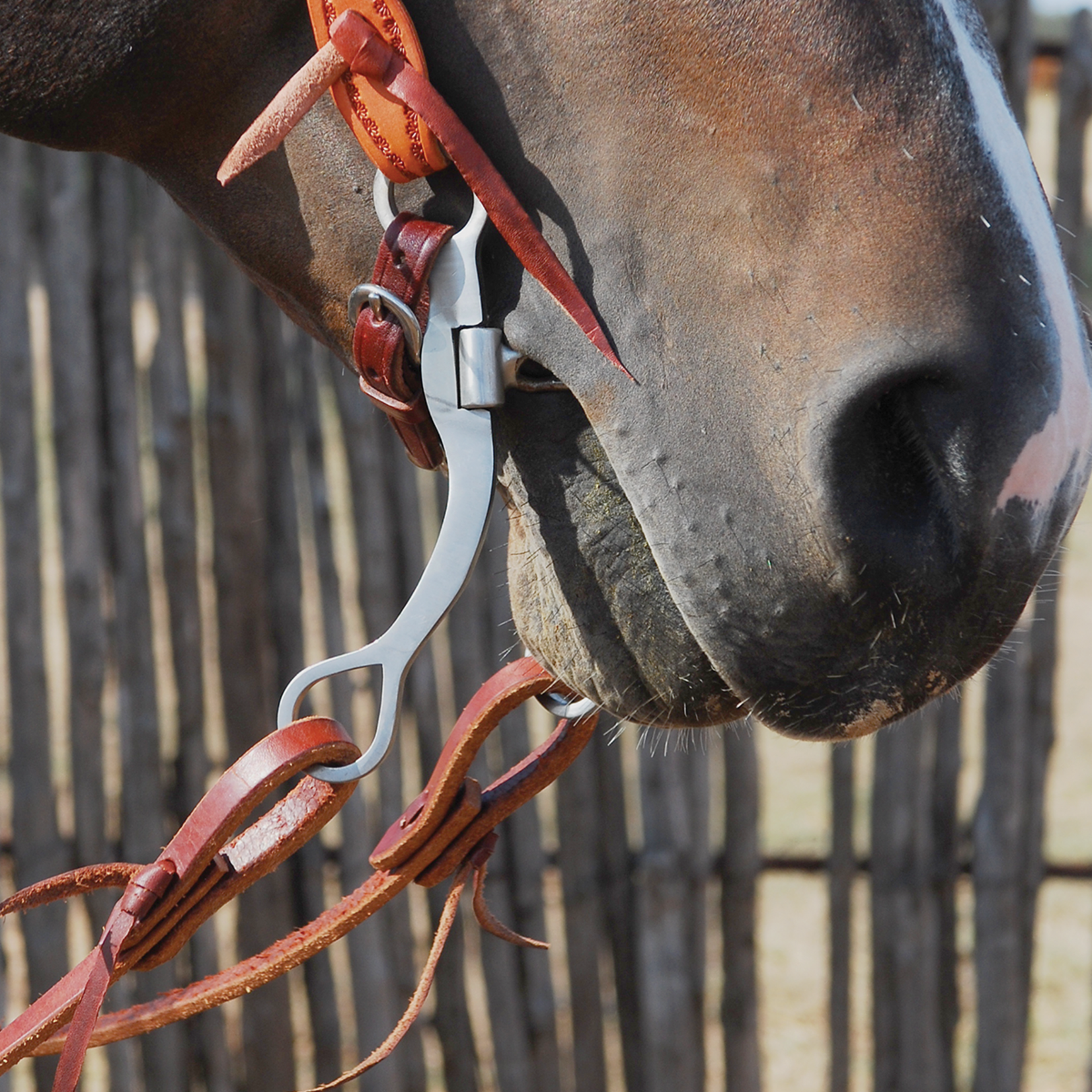 Classic Equine 7-1/2” Cheek Ported Chain