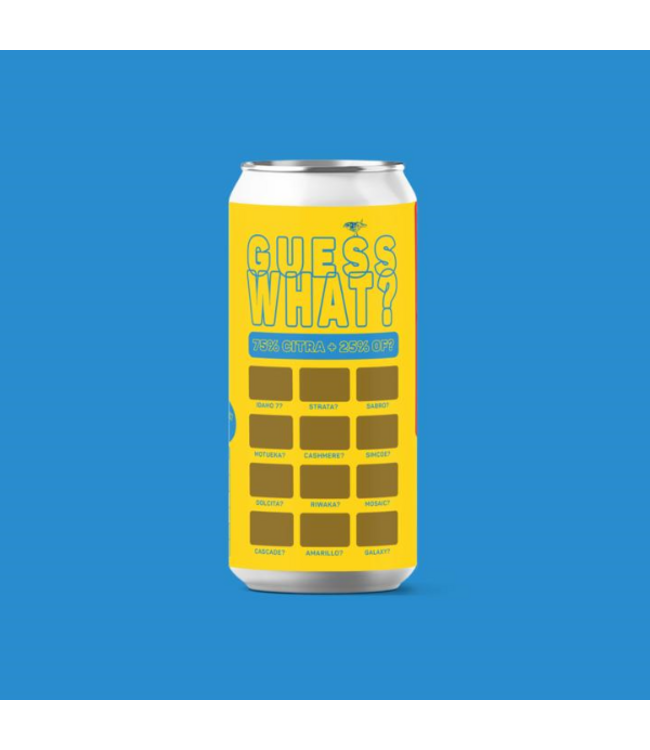 Atelier Vrai Guess What? Citra + ?