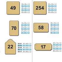 Brass Number Tags