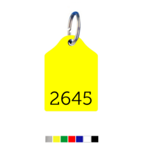 Key Tags Rounded Top model with number