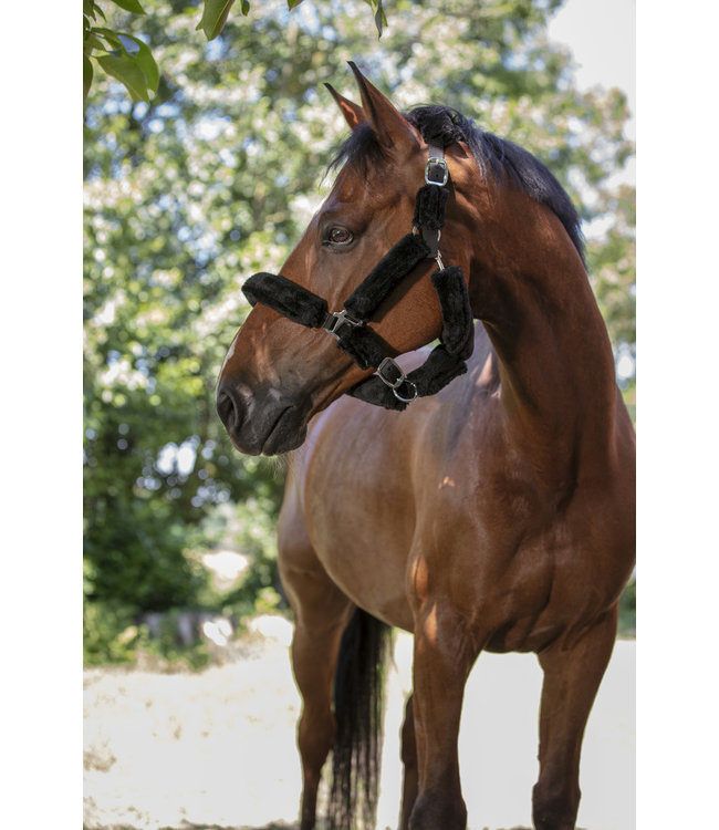 NORTON FULL 'SHEEPSKIN' HEADCOLLAR