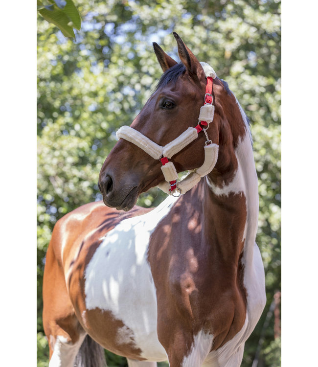NORTON FULL 'SHEEPSKIN' HEADCOLLAR