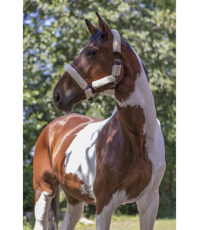 NORTON FULL 'SHEEPSKIN' HEADCOLLAR