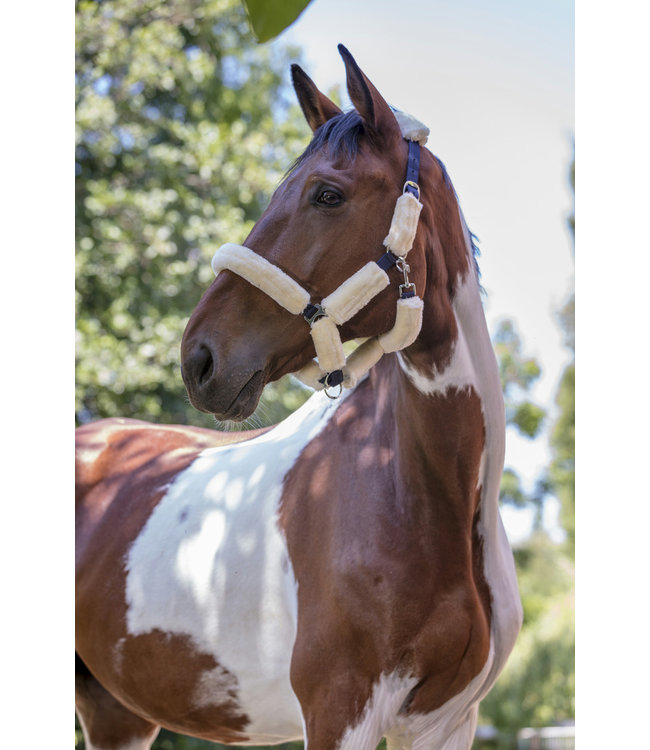 NORTON FULL 'SHEEPSKIN' HEADCOLLAR