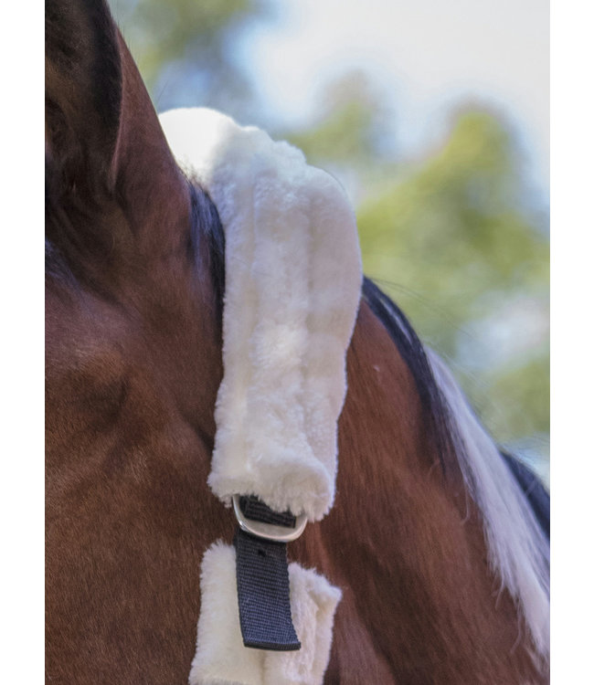 NORTON FULL 'SHEEPSKIN' HEADCOLLAR