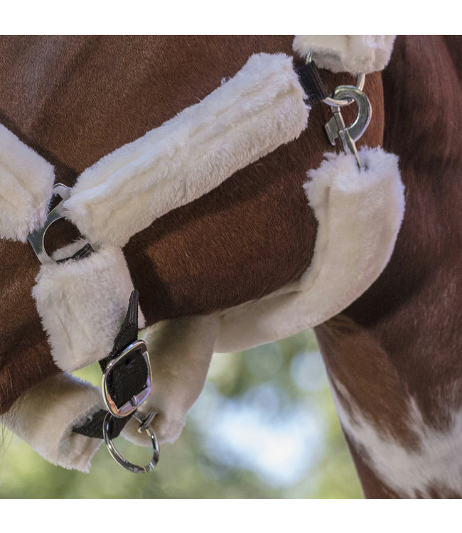NORTON FULL 'SHEEPSKIN' HEADCOLLAR