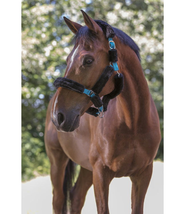 NORTON FULL 'SHEEPSKIN' HEADCOLLAR