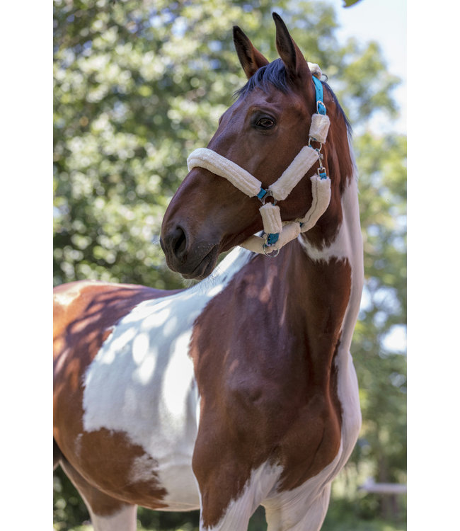 NORTON FULL 'SHEEPSKIN' HEADCOLLAR