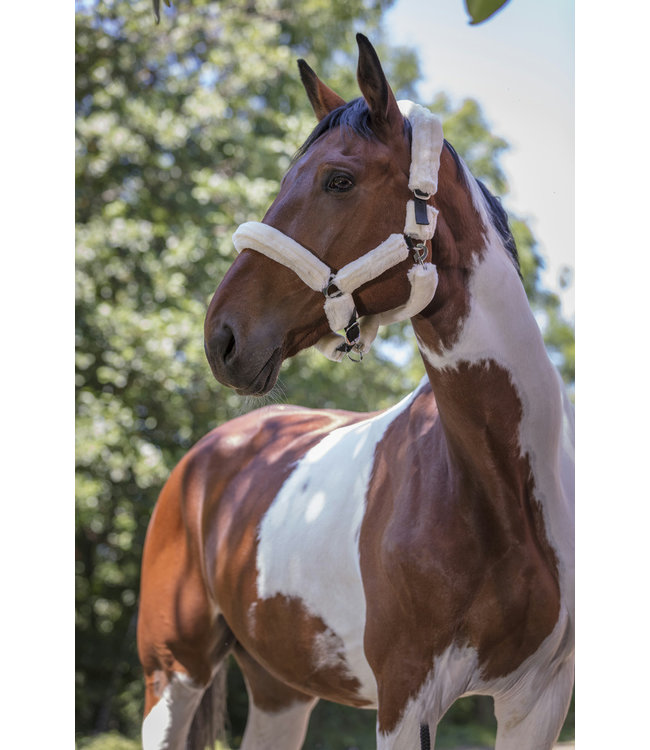 NORTON FULL 'SHEEPSKIN' HEADCOLLAR