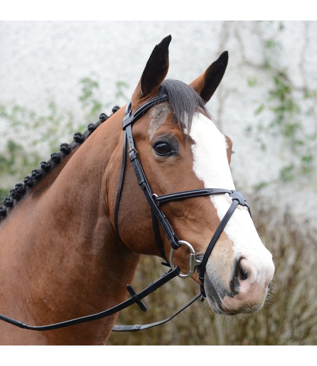 MACKEY CLASSIC PADDED GRACKLE BRIDLE - Black
