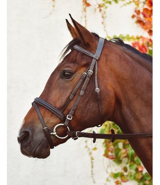 Medium Oil Basketweave Thunderbird Browband/one Ear Tack Set -  Ireland