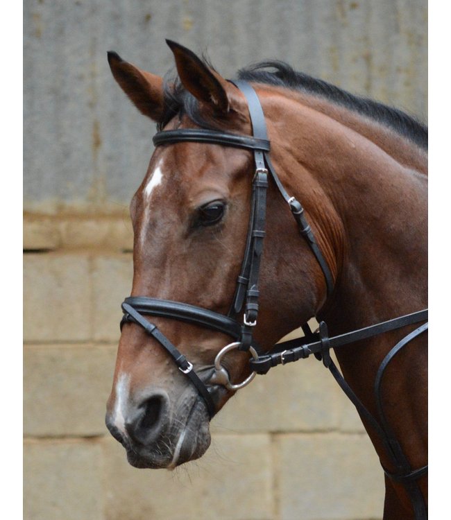 EQUISENTIAL BRIDLE & REINS - Black