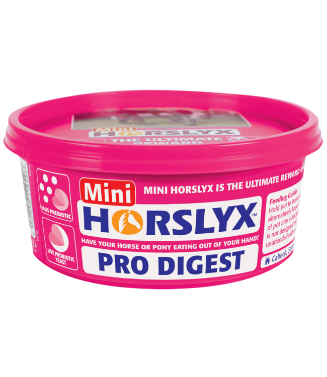 Horslyx Pro-Digest Mini 650g single
