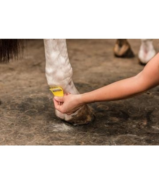 SMART GROOMING EQUI-SHAVE (SINGLE)