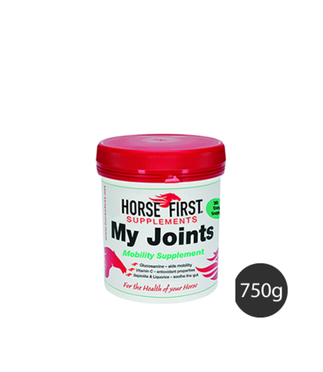 HORSE FIRST 'MY JOINTS',