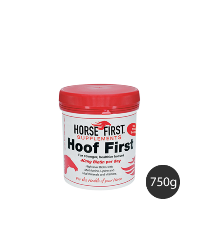 HORSE FIRST 'HOOF FIRST'