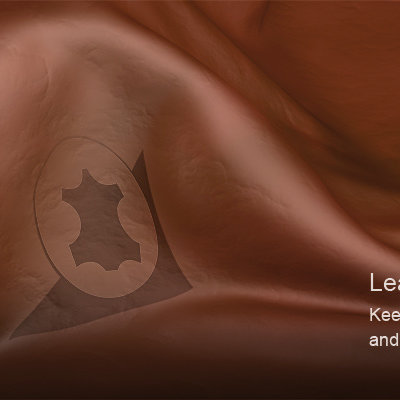 Leather Care
