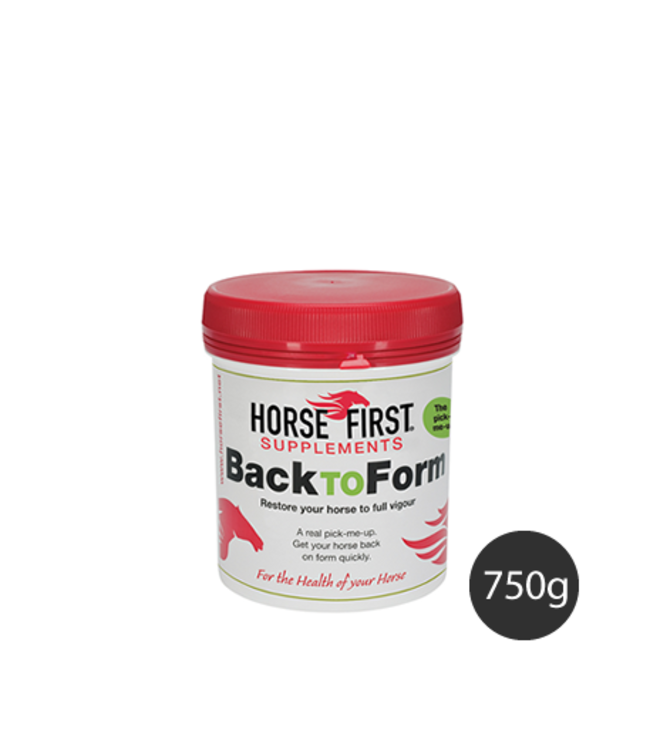 HORSE FIRST 'BACK TO FORM',